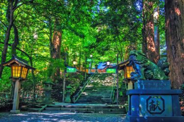 高千穂神社のスピリチュアルな効果とは？夜神楽・夫婦杉の秘密と「呼ばれた人」への啓示